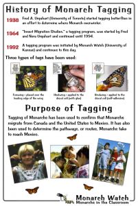 Monarch Watch's Tagging Program: 20 years young!