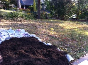 Turf-to-bed conversion: six-10 layers of newspaper with three-four inches of mulch