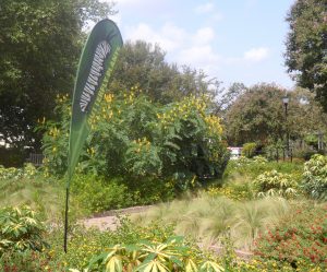 San Antonio Botanical Garden Butterfly Garden