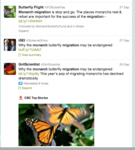 Twitter search for tracking Monarchs