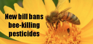 Save America's Pollinators