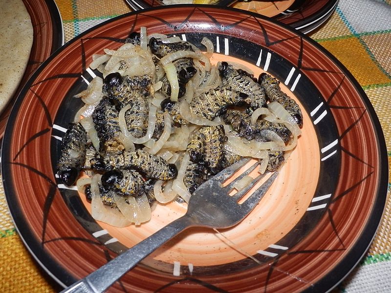 Cooked Mopane Worm