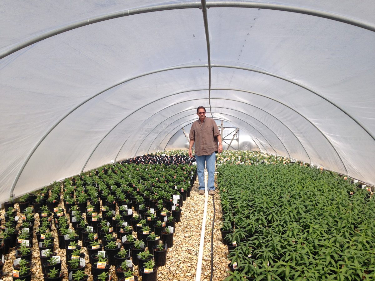 Mega Grower Color Spot Nursery to Consider Growing Clean, Chemicalfree