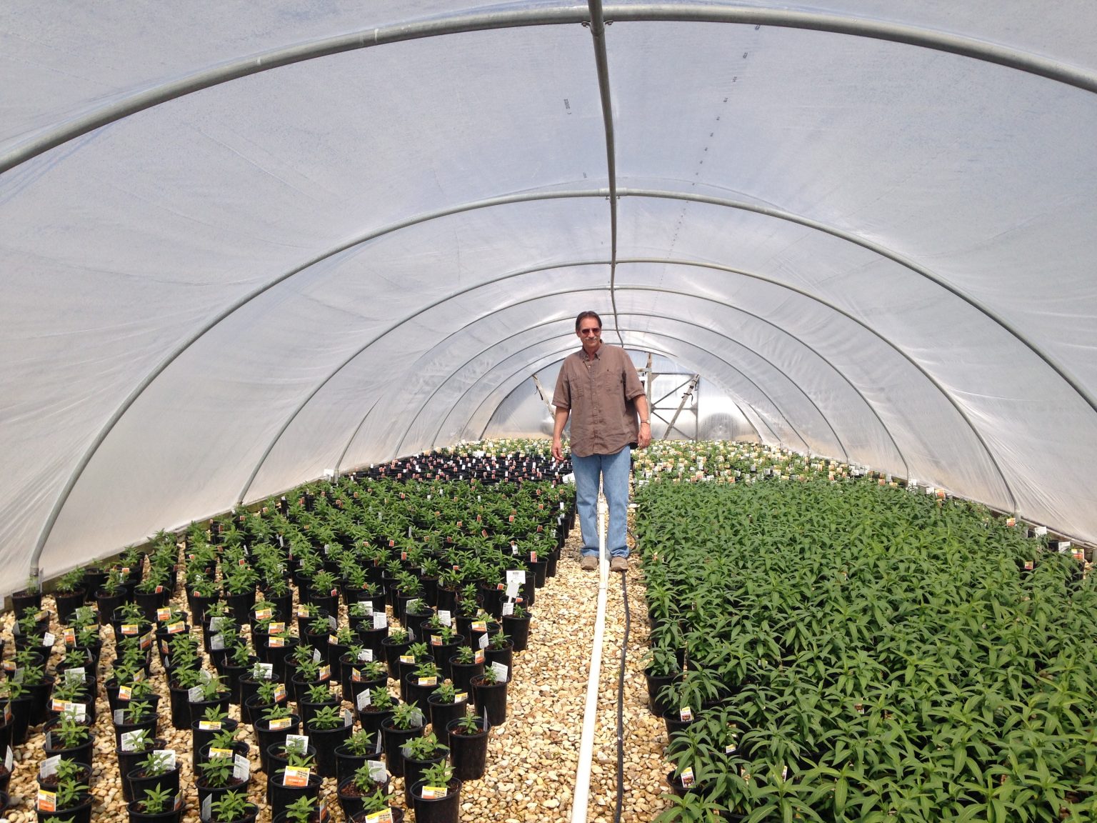 Mega Grower Color Spot Nursery to Consider Growing Clean, Chemicalfree