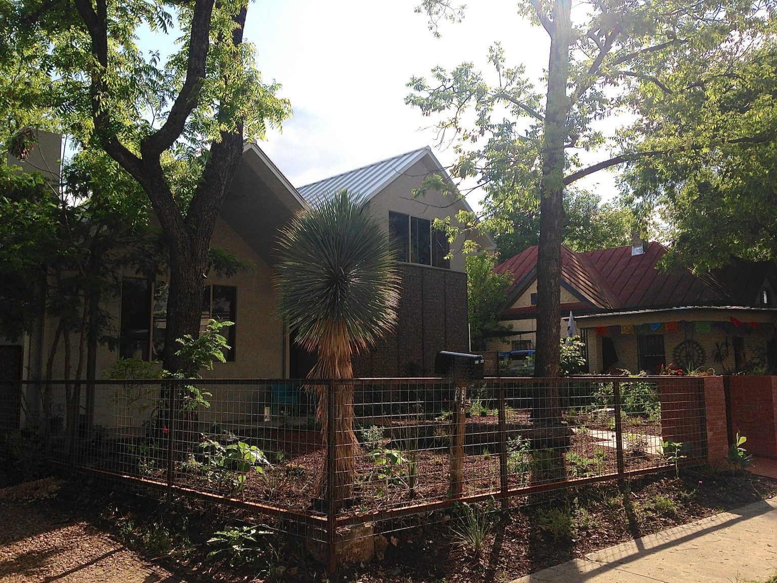 Coming soon LIVE from the Mariposario, Dispatches from my Butterfly