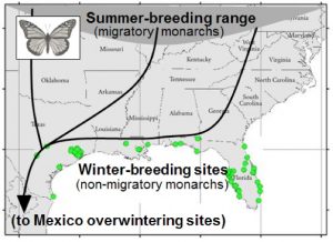 winter breeding map