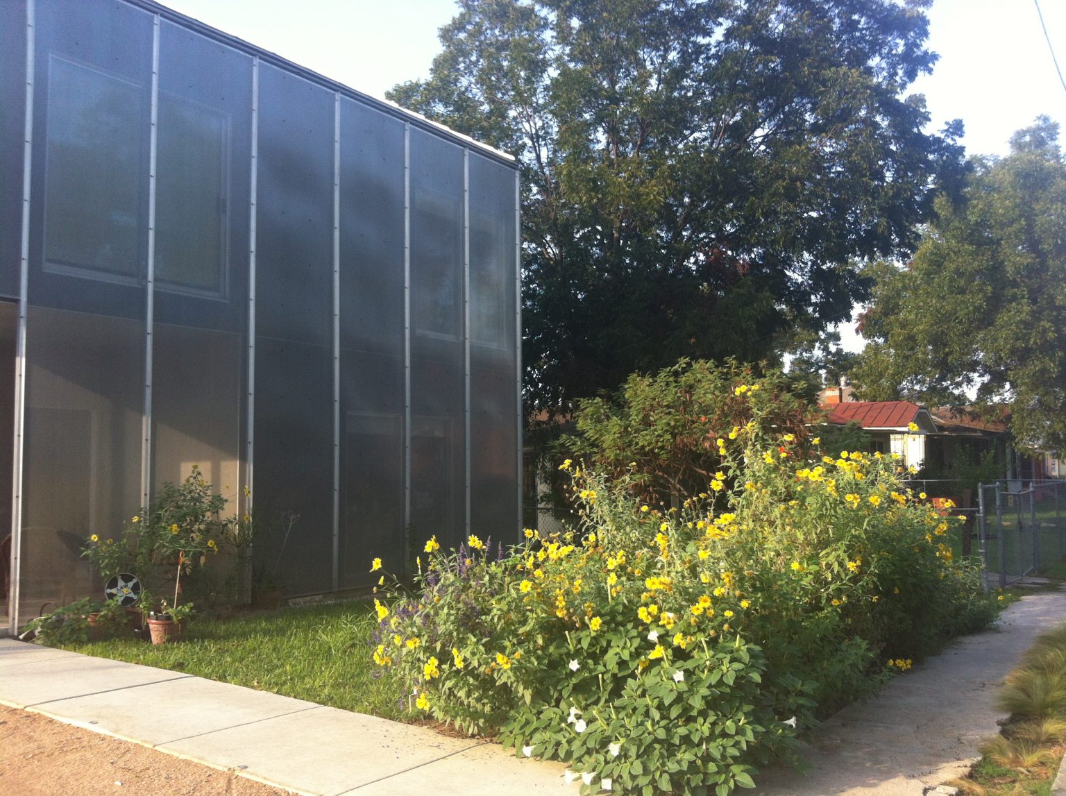 How to plan a successful butterfly and pollinator garden Texas Butterfly Ranch