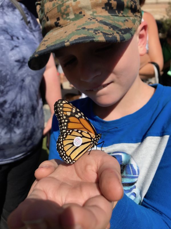 Monarch Butterfly and Pollinator Festival soars in San Antonio Texas