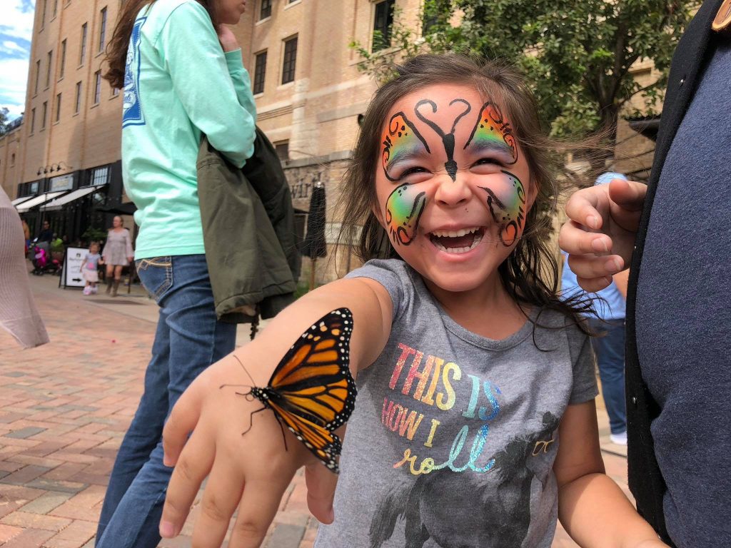 monarch butterfly face paint