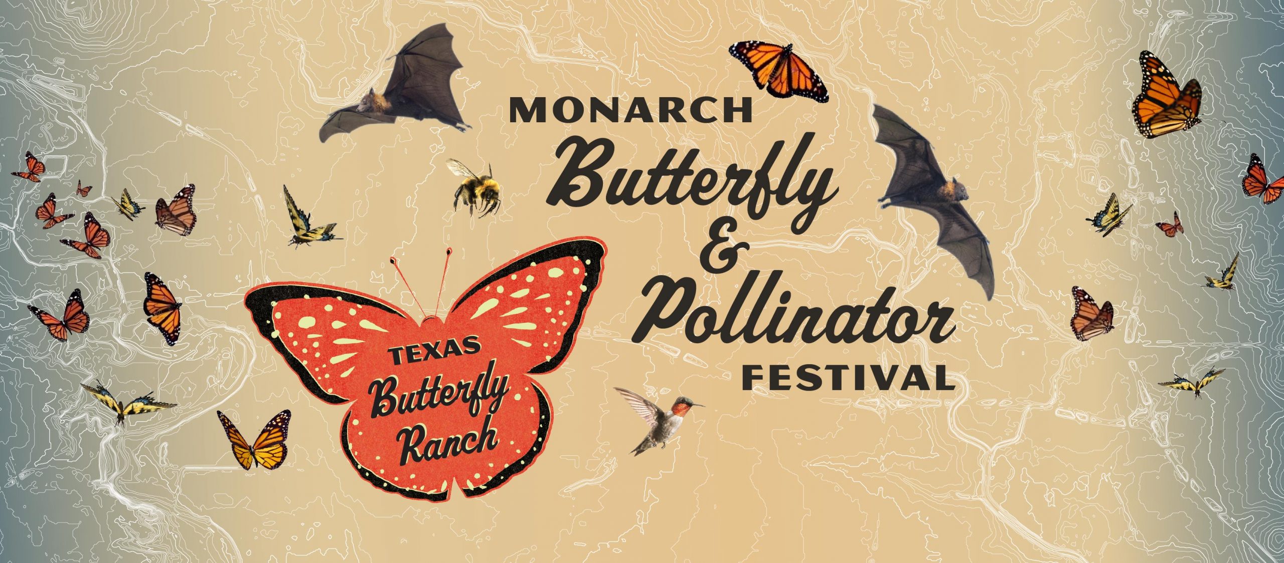 Bees and Butterflies are a festival celebrating on The Butterfly shrub! 