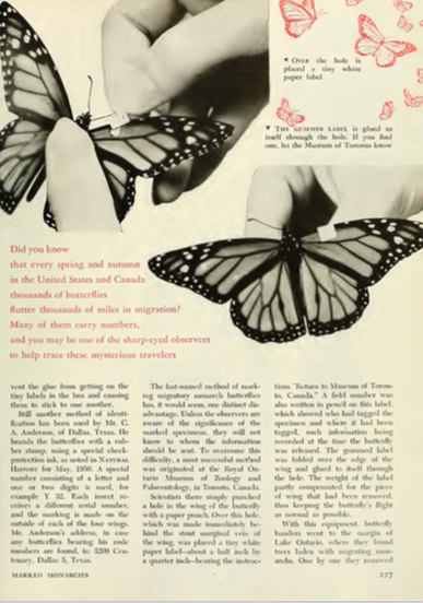 Natural History Magazine 1952