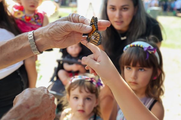 Bria-Woods-Photography-2022-Pollinator-Festival-4