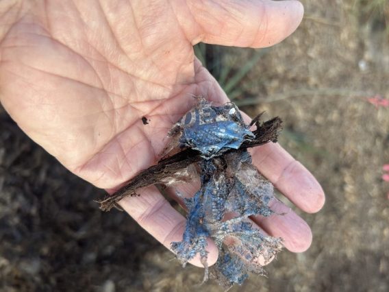 231858B3-B757-4C85-A837-99923B3A2D86_1_105_c