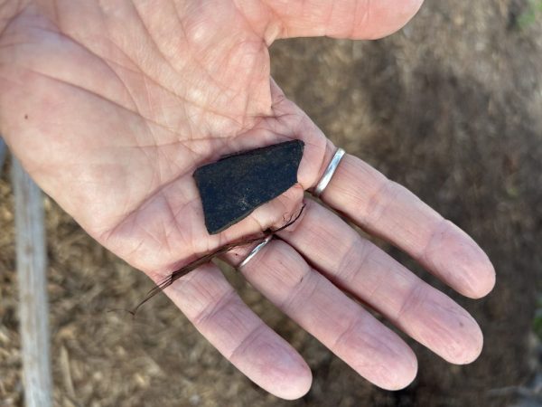 6EE13CA2-2020-46BB-BFAB-1EE6229BCC2E_1_105_c