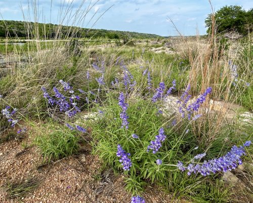 7235AD3F-E457-4E87-85EE-4F5E3C852C13_1_201_a