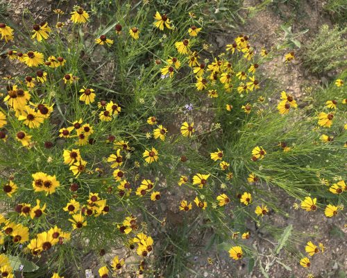 7CF61A27-21A9-4FC4-848C-98A49214D486_1_201_a