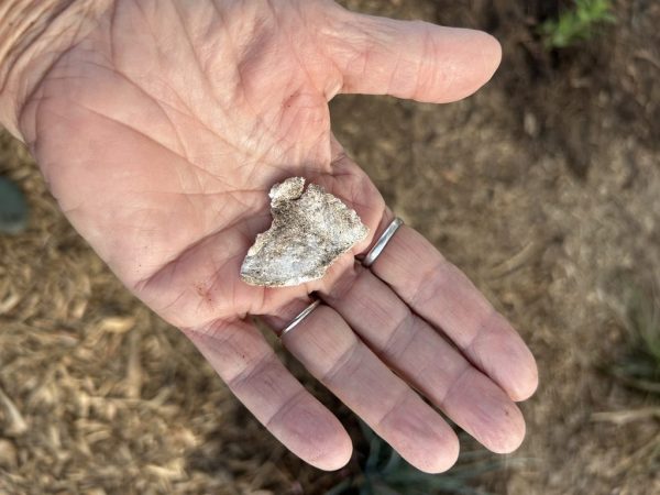 7D28343E-5DF6-4424-8D65-FAAF5A4AC880_1_105_c