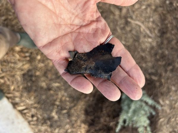 C23161F3-CECD-4C7C-9B0F-DFF481D1FA92_1_105_c