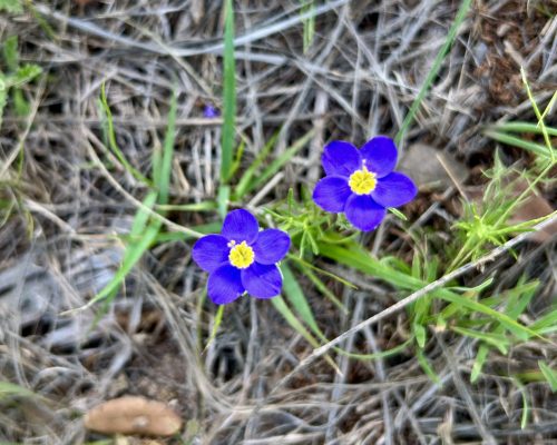 DC628539-AABA-476C-8C77-7D8D920F8BA2_1_201_a