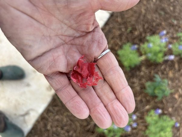 F8A26735-7F63-49E3-9C66-28907DF34E70_1_105_c