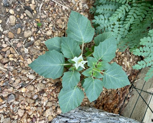 FC7CD846-625B-48A4-821C-11DFAB8ADC81_1_201_a